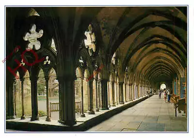 Picture Postcard> Salisbury Cathedral The Cloisters Walk • £2.19